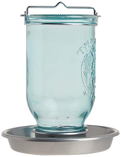 Perky-Pet 1 jarra Mason Waterer de pássaro selvagem 783, azul