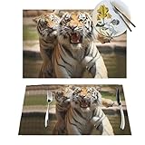 1 Placemats Set Playful Tiger Woven Placemats for Dining Table Heat Resistant Place Mats Non-Slip Washable PVC Table Mats for Party Kitchen Dining Decoration 12 x 18 Inch