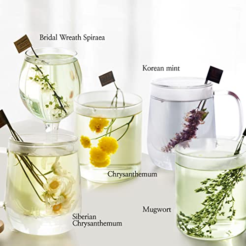 Image of KKOKDAM Premium Flower Tea Stick Collection (5 Sets Bundle)