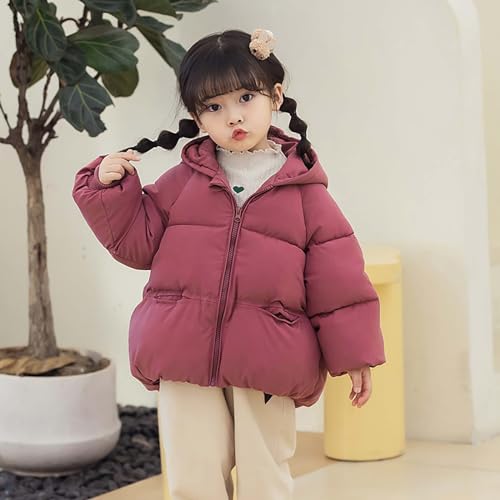 Baby Girl Boy Winter Coats Thicken Hoodie Down Padded Jacket Coat Outwear Windproof Snowsuit Clothing2