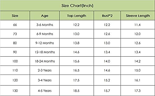 Toddler Infant Baby Girl Boy Knit Sweater Solid Color Oversized Crewneck Warm Pullover Sweatshrit Fall Winter Tops (Brown Chestnut, 9-12 Months) #TOP1