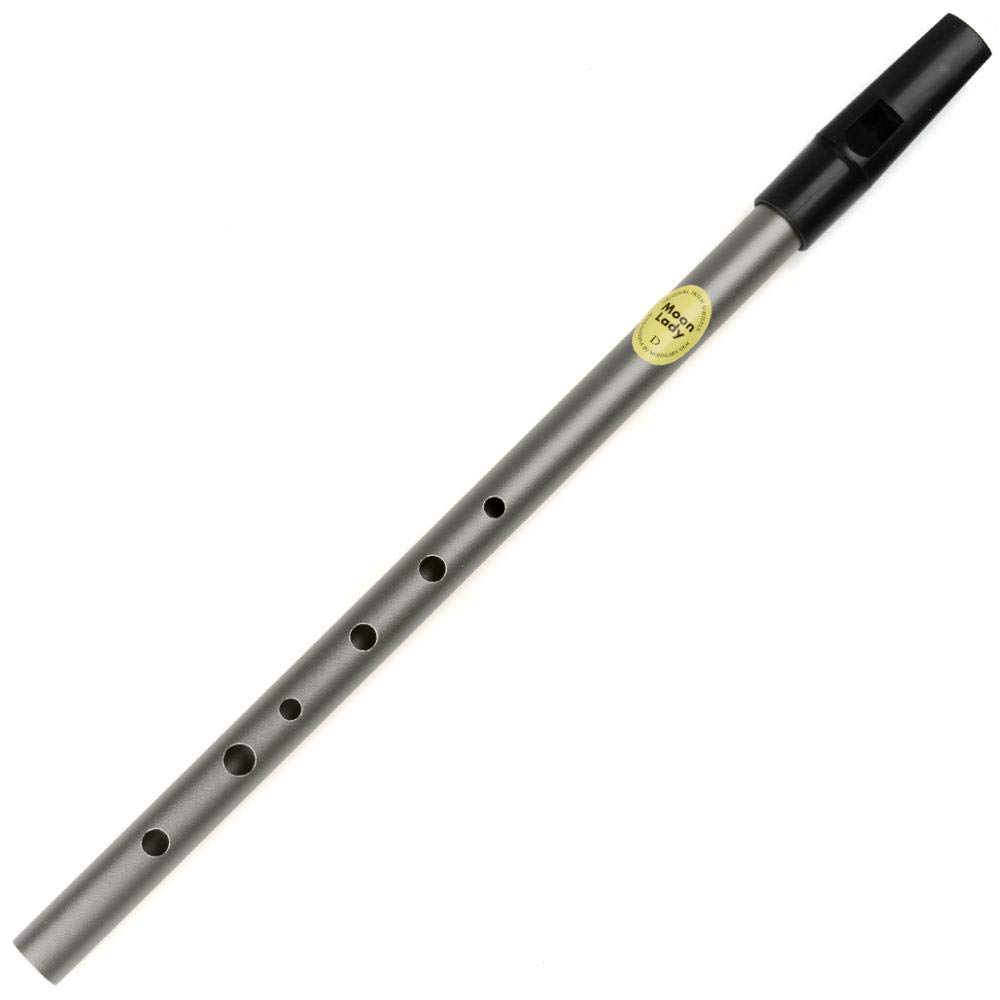 D-Schlüssel 6-Loch-Metallflöte Irish Tin Whistle Flute Irish Woodwind Mini Pocket Bamboo Whistle (Color : D Key Grey)
