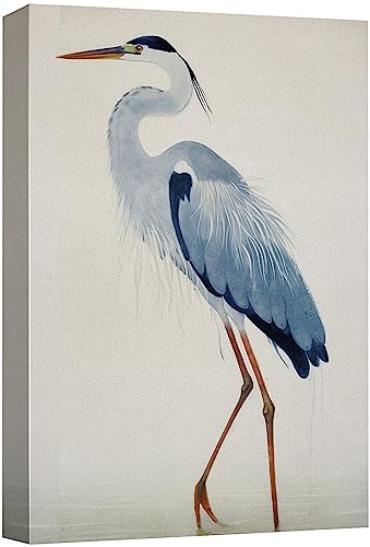wall26 Canvas Print Wall Art Watercolor Pastel Blue Heron Galapagos Bird Animals Wilderness Illustrations Modern Art Antique Vintage Farmhouse Relax/Calm/Cozy for Bedroom - 12"x18"