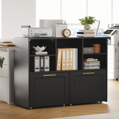 Sleek Modern Lateral File Cabinet for Office