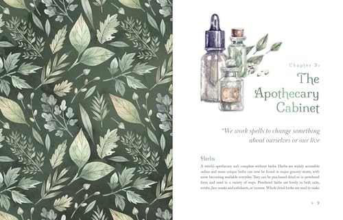 Image of The Witch's Apothecary: Seasons of the Witch: Learn how to make magical potions around the wheel of the year to improve your physical and spiritual well-being. (Sacred Apothecary Series)