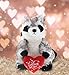 DolliBu I Love You Valentine Plush Raccoon - Cute Stuffed Animal with Red Heart and Name Personalization Gift for Valentines Day, Birthday, Anniversary, Romantic Date - 9 Inches