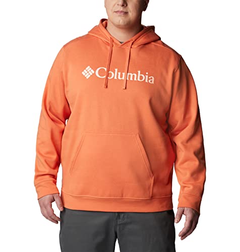 Image of Columbia mens Trek Hoodie