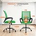 Ergonomic Office Chair Cheap Desk Chair Mesh Executive Computer Chair Lumbar Support for Women&Men, Green