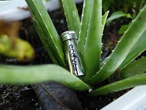 image for Skyhigh Dreams Vegan | Eco Friendly Dental Floss | Biodegradable | Sus