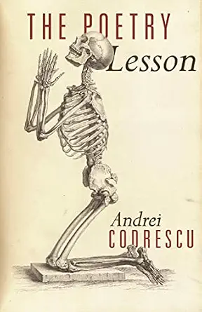 The Poetry Lesson Reprint Edition-Wow! eBook
