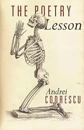 The Poetry Lesson book cover