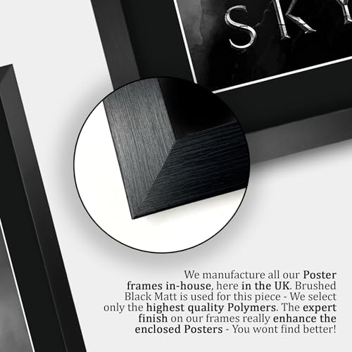 Cadre Skyrim autographe signé A3 poster sous verre déco gaming