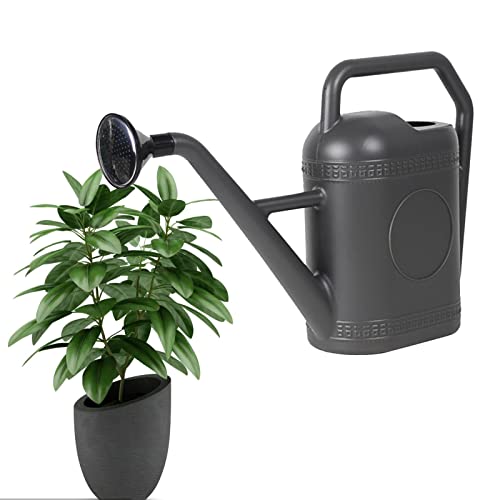 Regaderas pequeñas para interiores, regadera de jardín con boquilla larga, regadera para plantas de interior, regaderas de flores, regadera de jardín con cabezal de aspersor para casa, flores