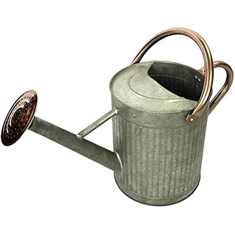 Gardener Select (W3006ZC-GCN-L7) Metal Watering Can - Modern Indoor & Outdoor Watering Pot with Handles for Flowers/Plants (7 Liter, Antique) Cover