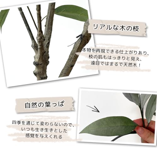 RAKU フェイクグリーン 人工観葉植物 140 cm ユーカリ 観葉樹 お手入れ不要 花粉 虫害の心配なし リアルな枝 自然な葉っぱ パーライト 陶器風鉢 インテリア オフィス 引越し お祝い (ユーカリ) [5]