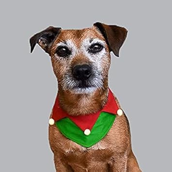 My Art Bucket Christmas Double Layered elf Dog Bandana | Christmas Dog Bandana (Large)
