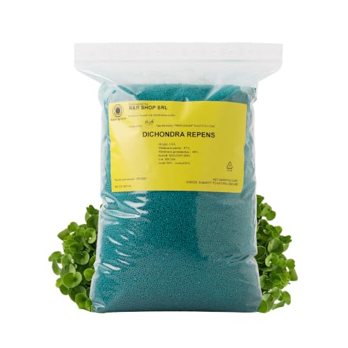 R&R SHOP - Semillas de Césped, Dichondra Repens, Origen USA, Resistentes y Decorativas (900gr - 90mq)