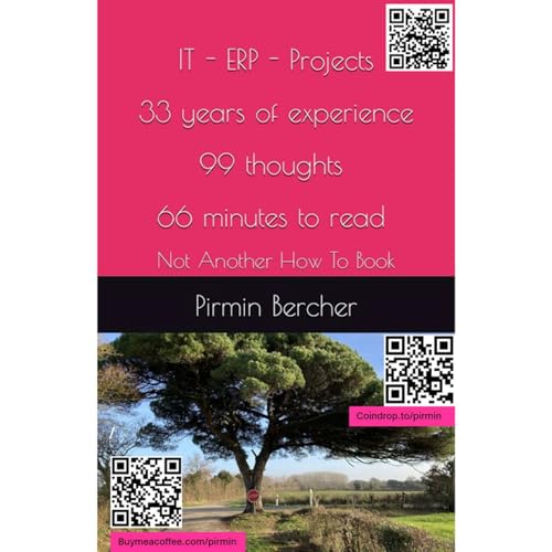 Pirmin's Podcast : IT - ERP - Projects 33 years of experience - 99 thoughts, a weekly podcast cover art