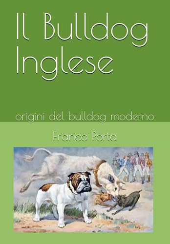 Il Bulldog Inglese: origini del bulldog moderno