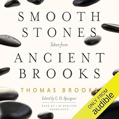 Smooth Stones Taken from Ancient Brooks Audiolibro Por Thomas Brooks arte de portada