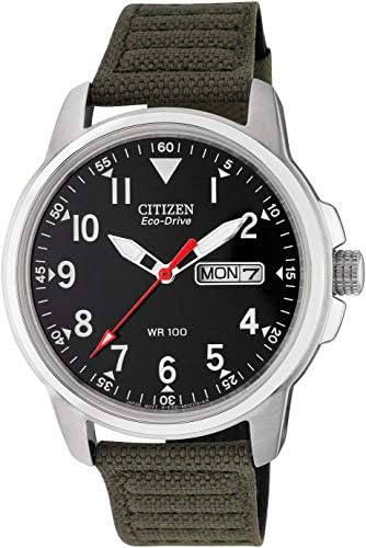 Citizen Men's Eco-Drive Leather Strap Watch.
