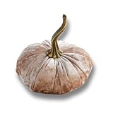 Your Heart's Content Luxe Champagne Small Velvet Pumpkin (Luxe Champagne)