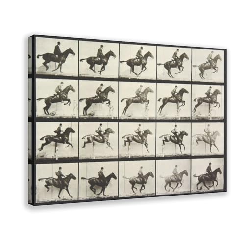Toile vintage cheval sautant Eadweard Muybridge cadre 50x75