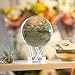 MOVA Globe Antique Terrestrial Green 6
