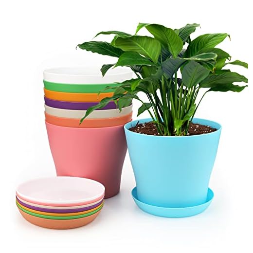 KINGLAKE 8 Pièces 14 CM Pots Plastique Plantes, Cache Pot Interieur Exterieur, Pot de Fleur avec Plateaux, Convient aux Semis, Cactus, Plantes Succulentes, Orchidées, Herbes -8 Coloré