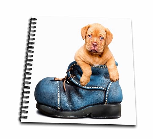 Livre de dessin animal graphic style 3drose mignon et multicolore