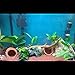 BCSIUHD Fish Tank Decorations - Ceramic Pot Fish Tank cave Aquarium Decorative Accessories for Fighting Fish, Shrimp, Cichlids, etc. to Play, Breed, Hide and Rest