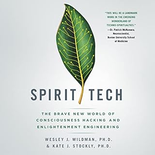 Spirit Tech Audiolibro Por Wesley J. Wildman, Kate J. Stockly arte de portada