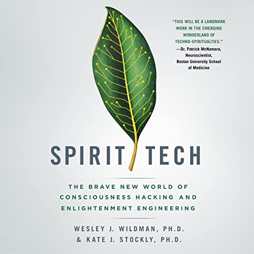 Spirit Tech by Wesley J. Wildman, Kate J. Stockly episode artwork