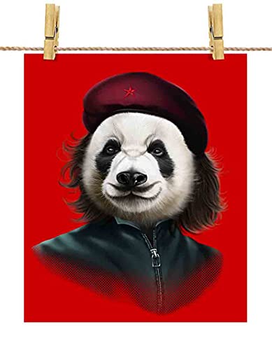 パンダ ポストカードの人気商品 通販 価格比較 価格 Com