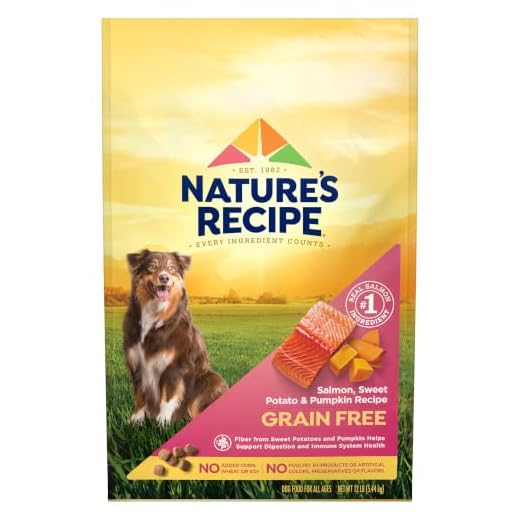 Nature's Recipe Grain Free Dry Dog Food, Salmon, Sweet Potato & Pumpkin Recipe, 12 lb. Bag