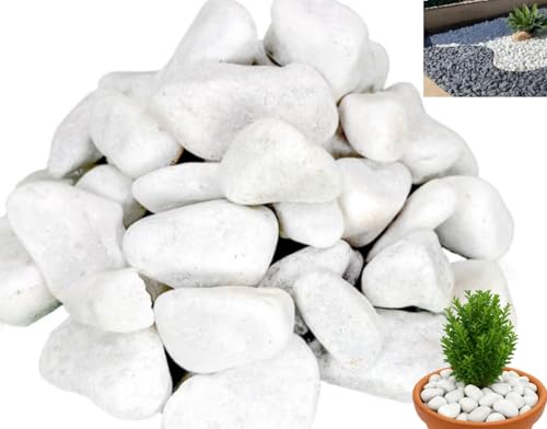 Canto Rodado Blanco 2-4cm para Decoración de Jardines y Acuarios,3kg, 5kg, 8kg, 10kg, 20kg Saco de Piedras Decorativas para Jardín y Plantas, Paisajismo y Manualidades (5, Kilogramos)