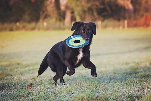 image for Chuckit! Max Glow Zipflight Flying Disc Dog Toy - Water Floating Flyer