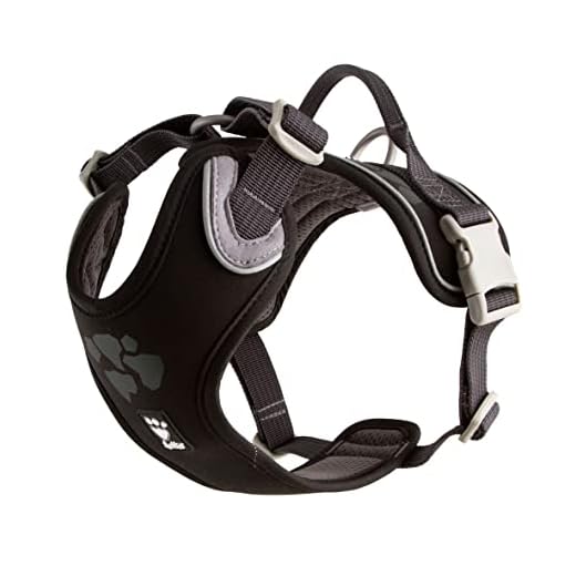 Ergonomic Weekend Warrior Dog Harness