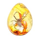 MUELODSIC Colgante de Ámbar Espécimen Decorativo Decoración para Manualidades Accesorios para Pulsera Collar Diseño Elegante Adecuado para Bricolaje Uso Oficina y Hogar