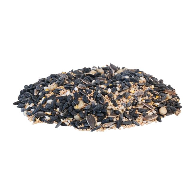 BestNest Wild Bird Seed Mix, Divine Blend, 5 lbs.