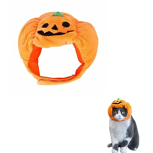 yBEAUTY PLAYERznEB ybgp RXv nEBڂXq ϐg  ybgp ʐ^ p[eB[ lRqp (pvLS)