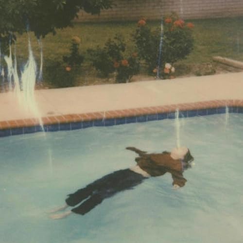 traumatized / distorted records [Explicit]