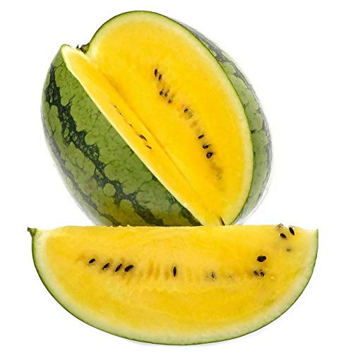 Seeds Rare Watermelon Yellow (Not Seedless) Berries Fruits Vegetable Heirloom For Planting Non Gmo #TOP7