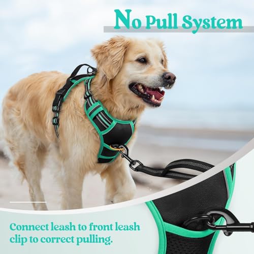 Image of rabbitgoo Dog Harness No Pull with 2 Leash Clips, Adjustable Soft Padded, Reflective Oxford No Choke Pet Vest with Easy Control Handle for Large Dogs, Black & Turquoise, XL