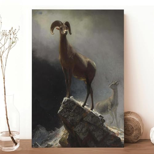 Impression sur toile tableau Rocky Mountain Sheep déco bureau moderne - 3