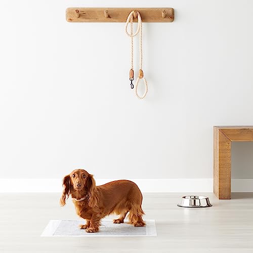 Image of AmazonBasics Pet Pee Pads for Potty Training | Carbon Activated | Regular 56 x 56 cm| 120 Pieces |Leak-Proof Quick Dry Design, 5-Layer, for All Dogs and Puppies (Carbon Activated, Regular, 120 Pads)