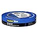 ScotchBlue Original Multi-Surface Painter