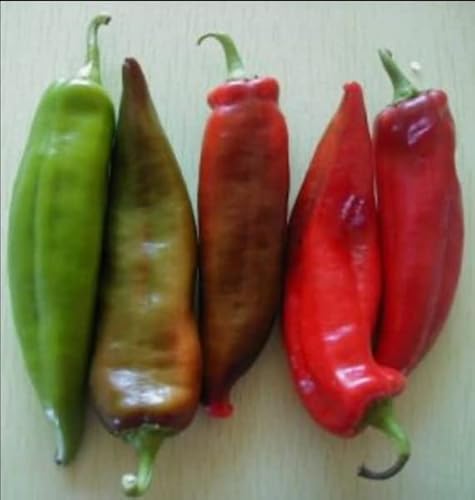 Anaheim Chili Pepper Plant Seeds For Planting, 100+ Heirloom Seeds Per Packet, (Isla's Garden Seeds), Non Gmo Seeds, 90% Germination Rates, Botanical Name: Capsicum Annuum, Great Home Garden Gift #TOP4