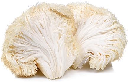 Nature’s Root Organic Lion’s Mane Mushroom Powder 200g, 100% Fruiting Body (Hericium erinaceus) - Image 4