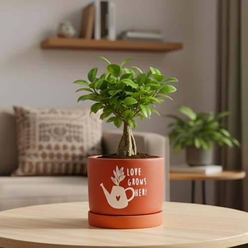 Image of Urban Plant Love Grows Terracotta Pot with Saucer (5 Inch) | Printed Clay Planter with Drainage Hole | Decorative Indoor Plant Pot for Tabletop, Desk & Home Decor